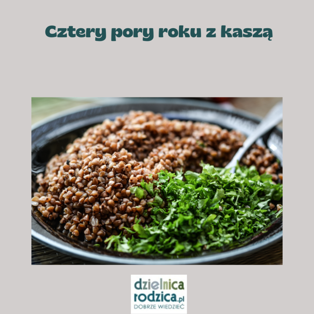 cztery pory roku z kaszą