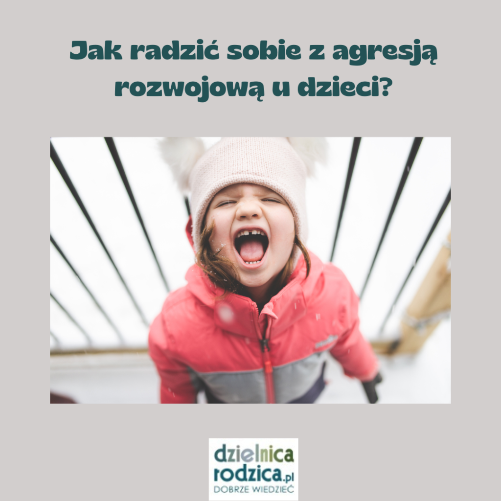 jak radzić sobie z agresją rozwojową u dzieci?