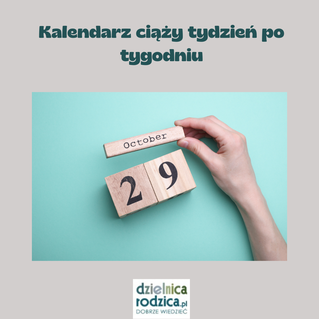 kalendarz ciąży