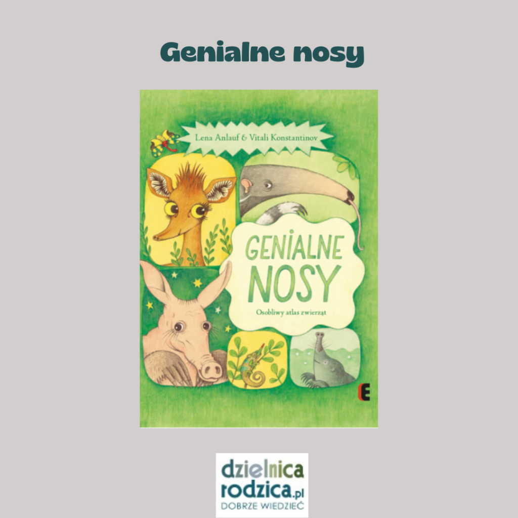 genialne nosy