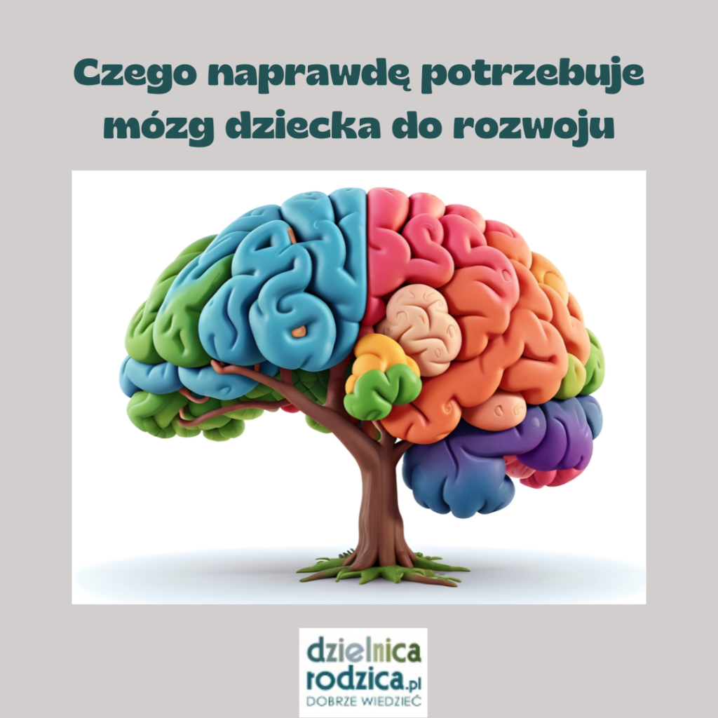 czego naprawdę potrzebuje mózg dziecka do rozwoju